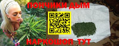 spice Кимры