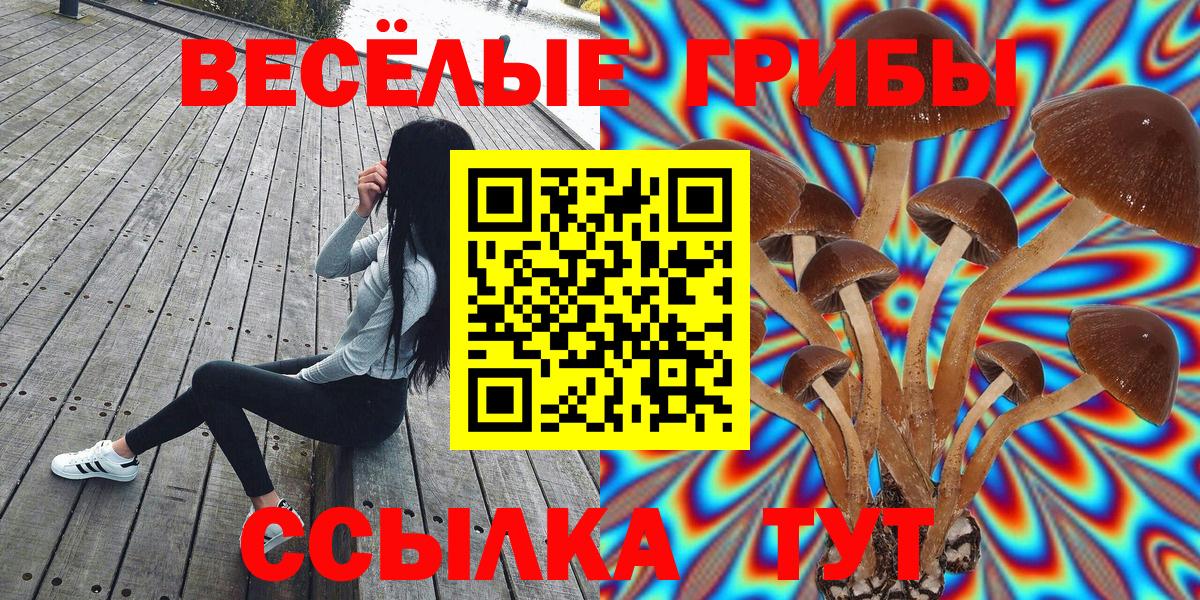 Котельники  Псилоцибиновые грибы Psilocybe  Вход с VPN 